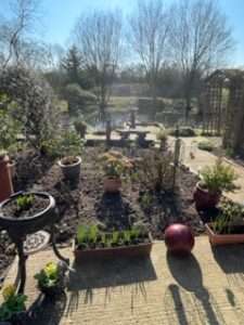 Garden with pots and beds, and views across a pond into the distance