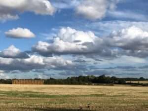 View of fields