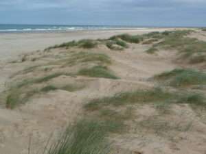 Sand dunes